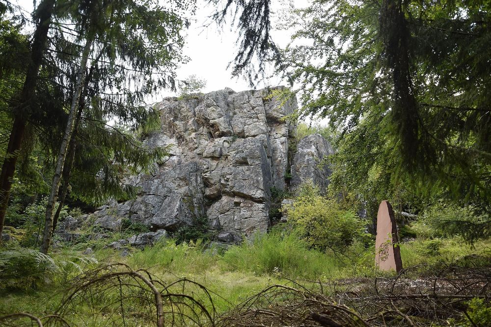 Graue Eltz ycvw2p
