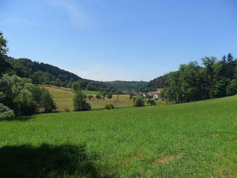 Traumschleife Oppig Grät Weg ycs80f