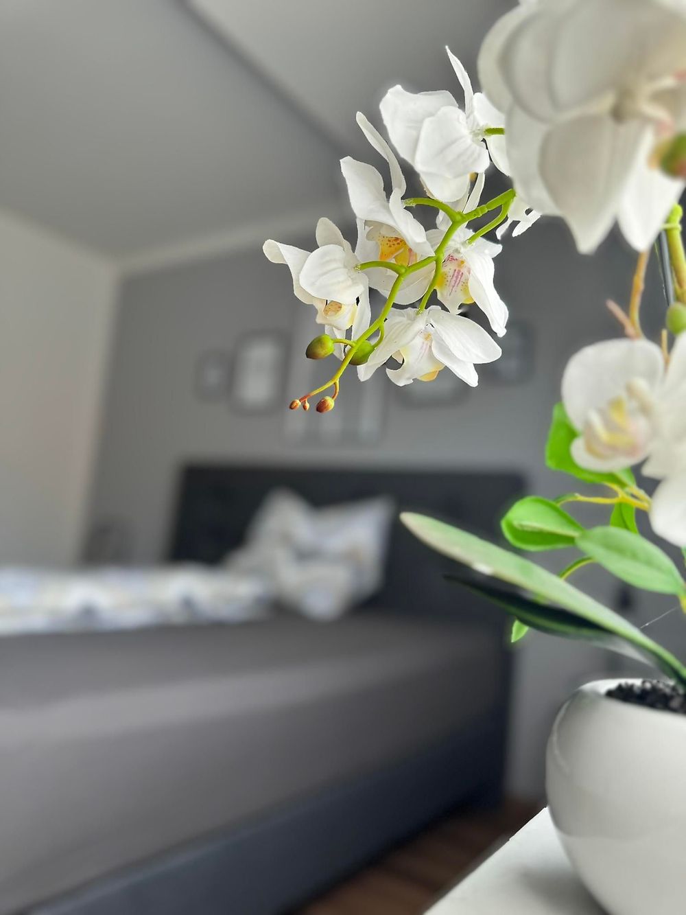Ferienhaus Hunsrückliebe xye546