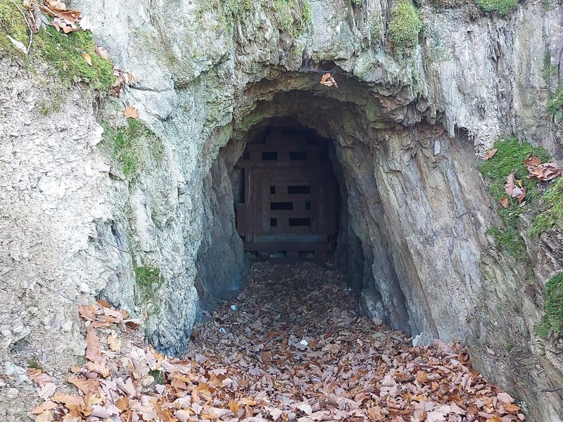 pois/grube-xtheresia-xtraumschleife-xmurscher-eselsche-xc5ca
