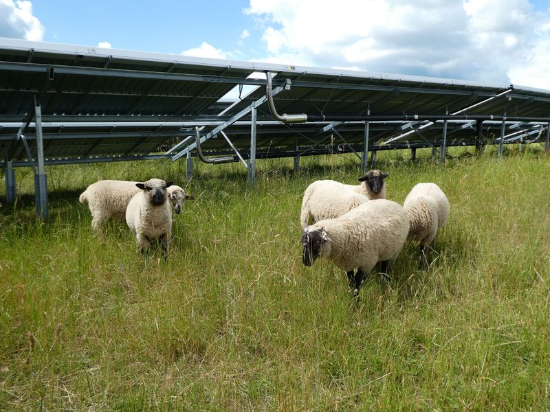 Energieweg Gimbweiler z94y41