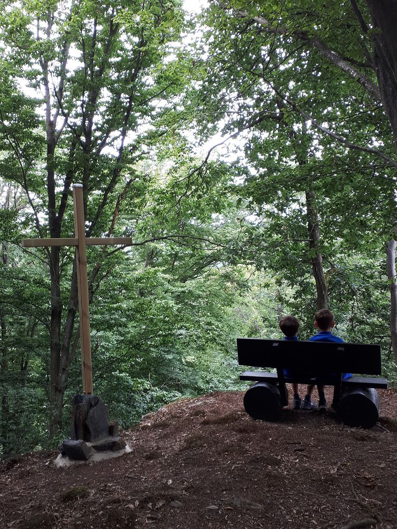 Hoch Ley am Wanderweg Schessels Beersche xuihsp