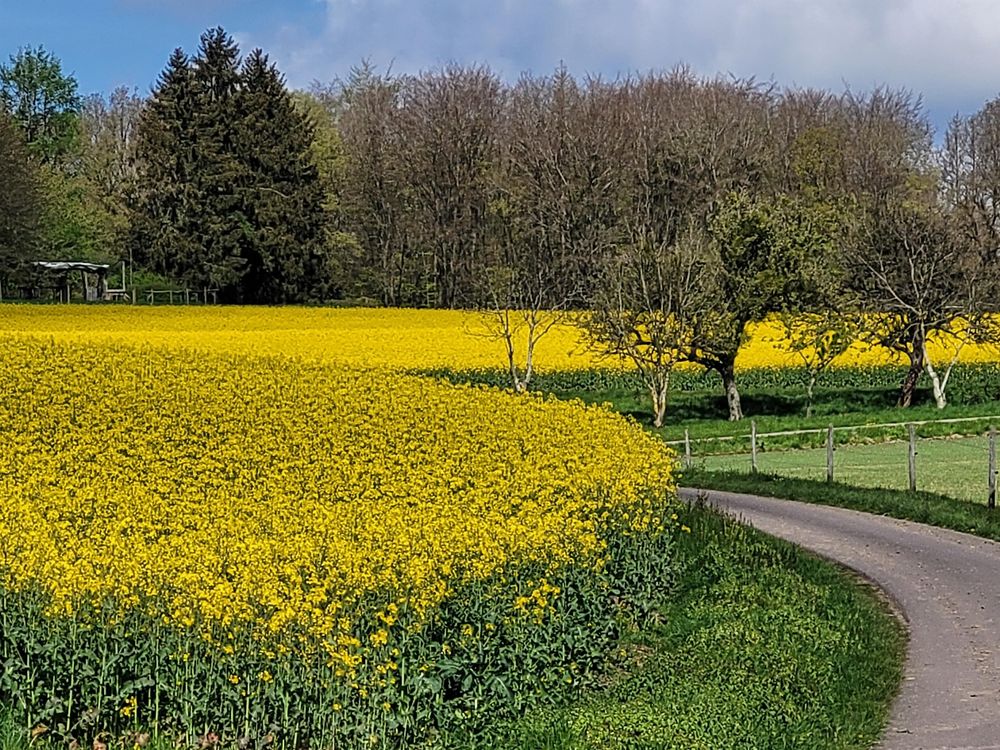 Ferienwohnung "Landblick" z826vy