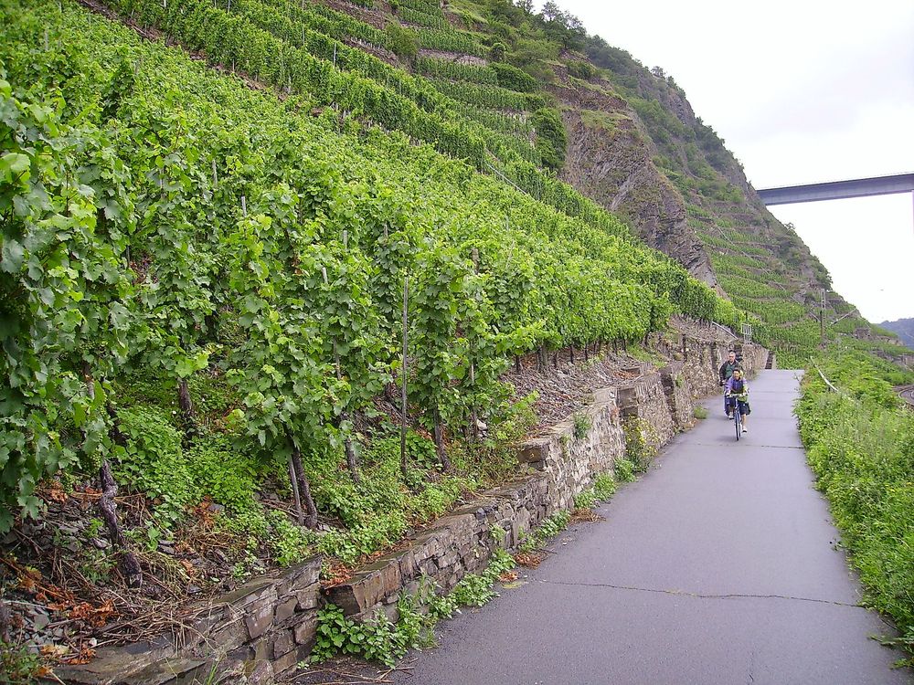 Deutsches Eck Tour z6awyu