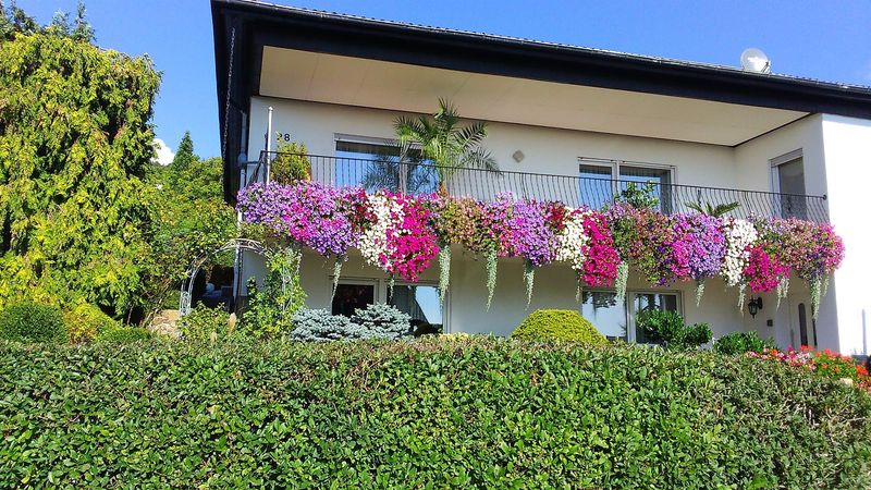 accommodations/haus-alexandra-3868