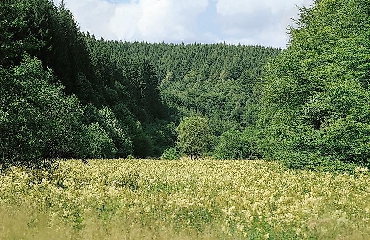 Traumschleife Felsenberg Runde xrxi4q