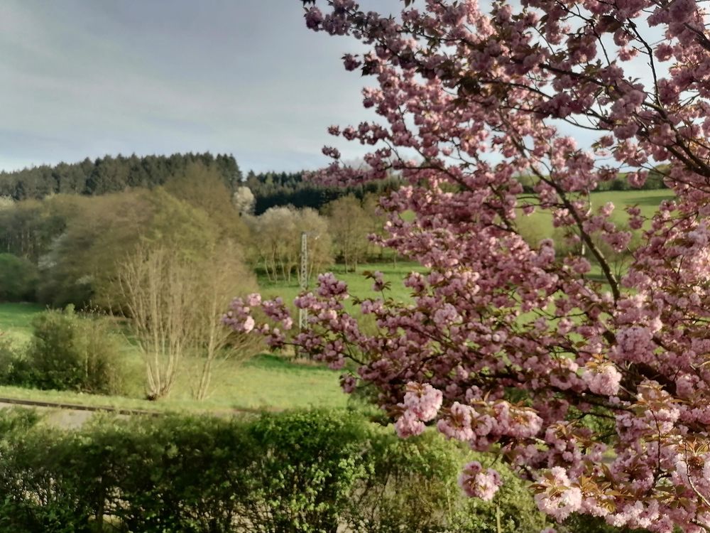 Ferienwohnung Siegel xoazvt