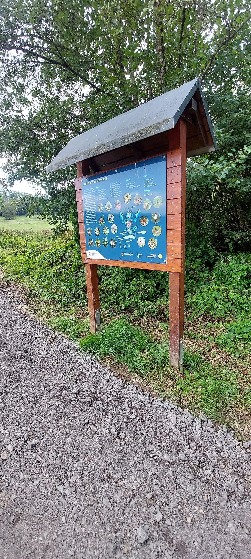 Barrierearmer Rundweg Allenbacher Weiher xp0dxs