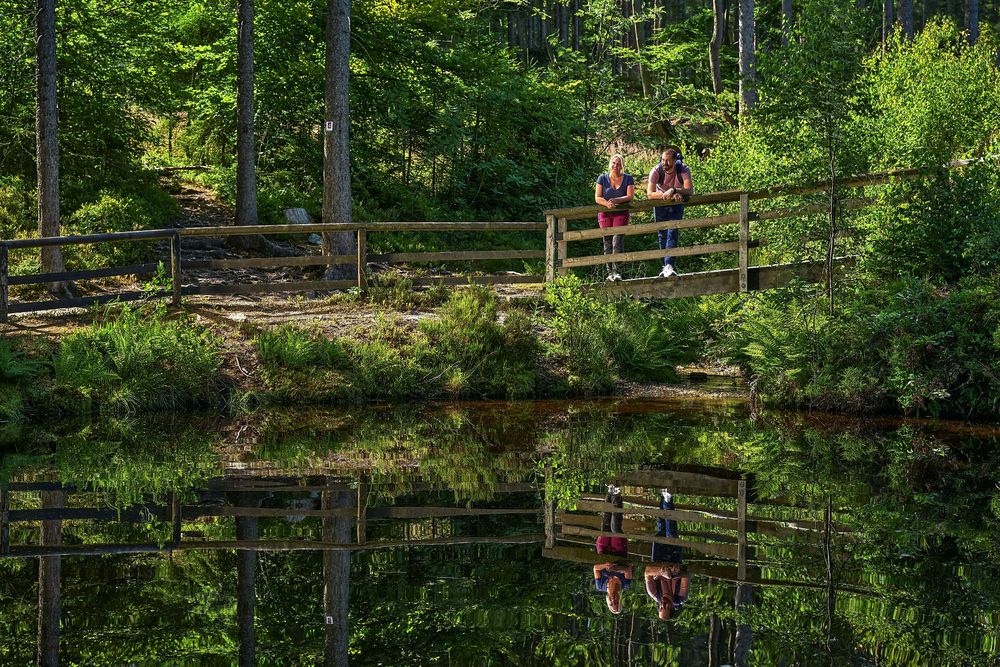 Traumschleife Ölmühlentour xmjuwt