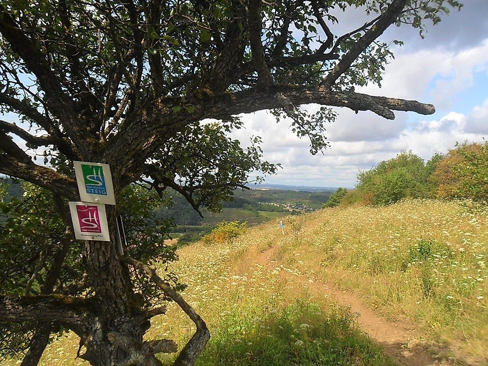 Saar Hunsrück Steig   01