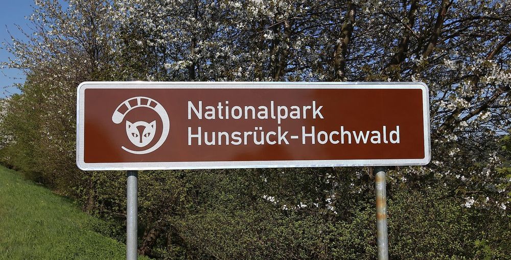 Nationalpark Hunsrück Hochwald xm7ruj