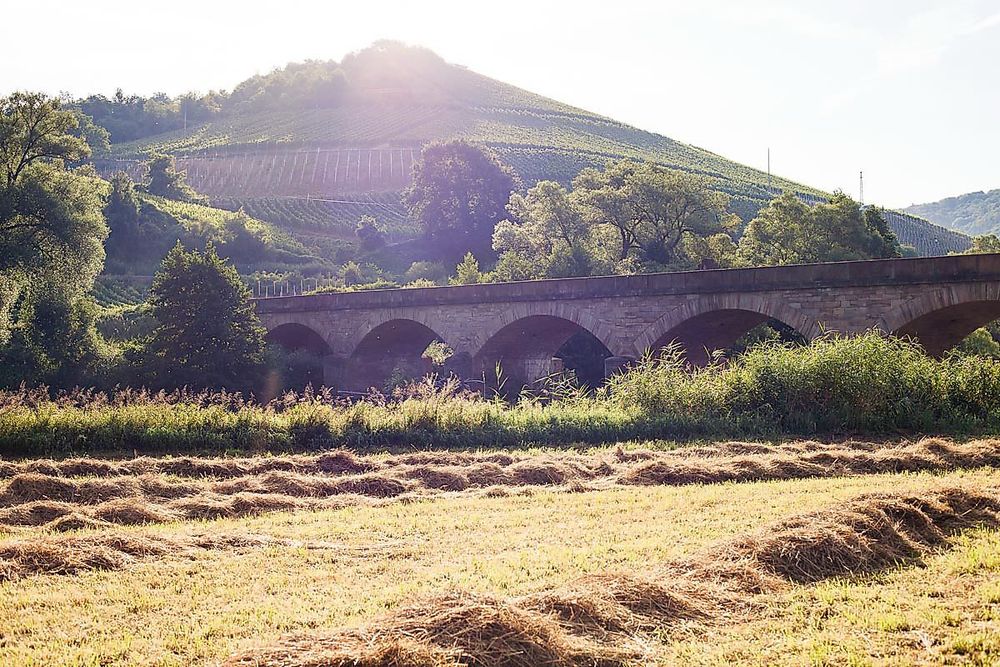 Auf Entdeckungstour entlang der Naheweinstraße xjuyk7
