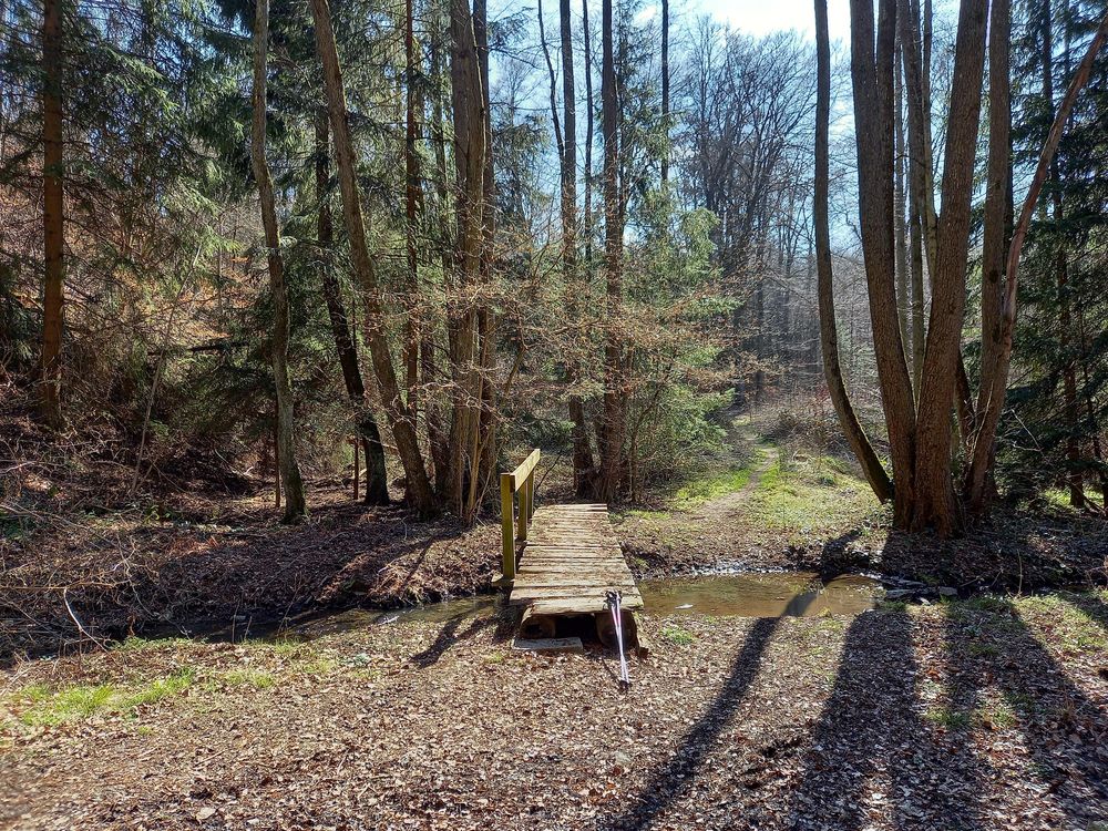 Hunsrueckbahnwanderweg xl87ll