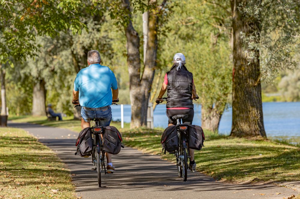 Zeller Panorama Moselradrundfahrt über Bullay und St