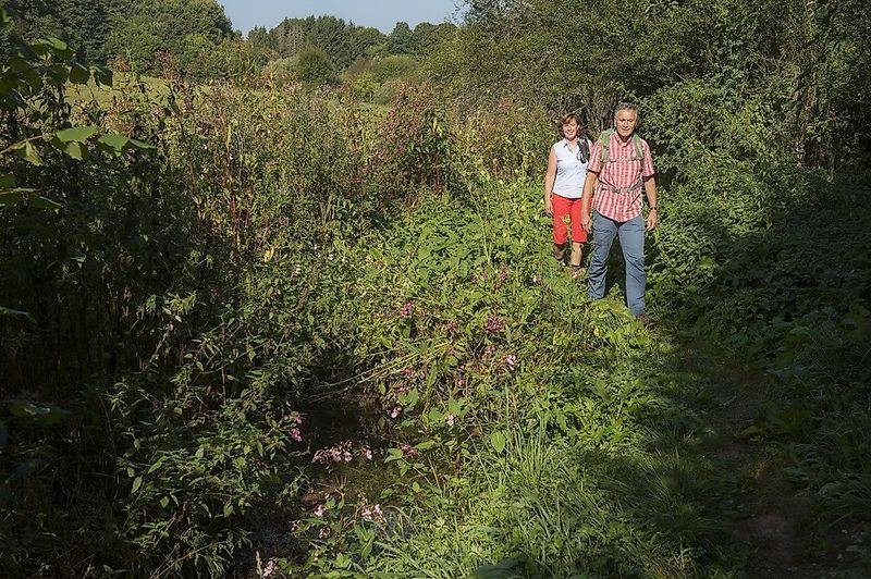 Traumschleife Waldsaumweg xggsyq