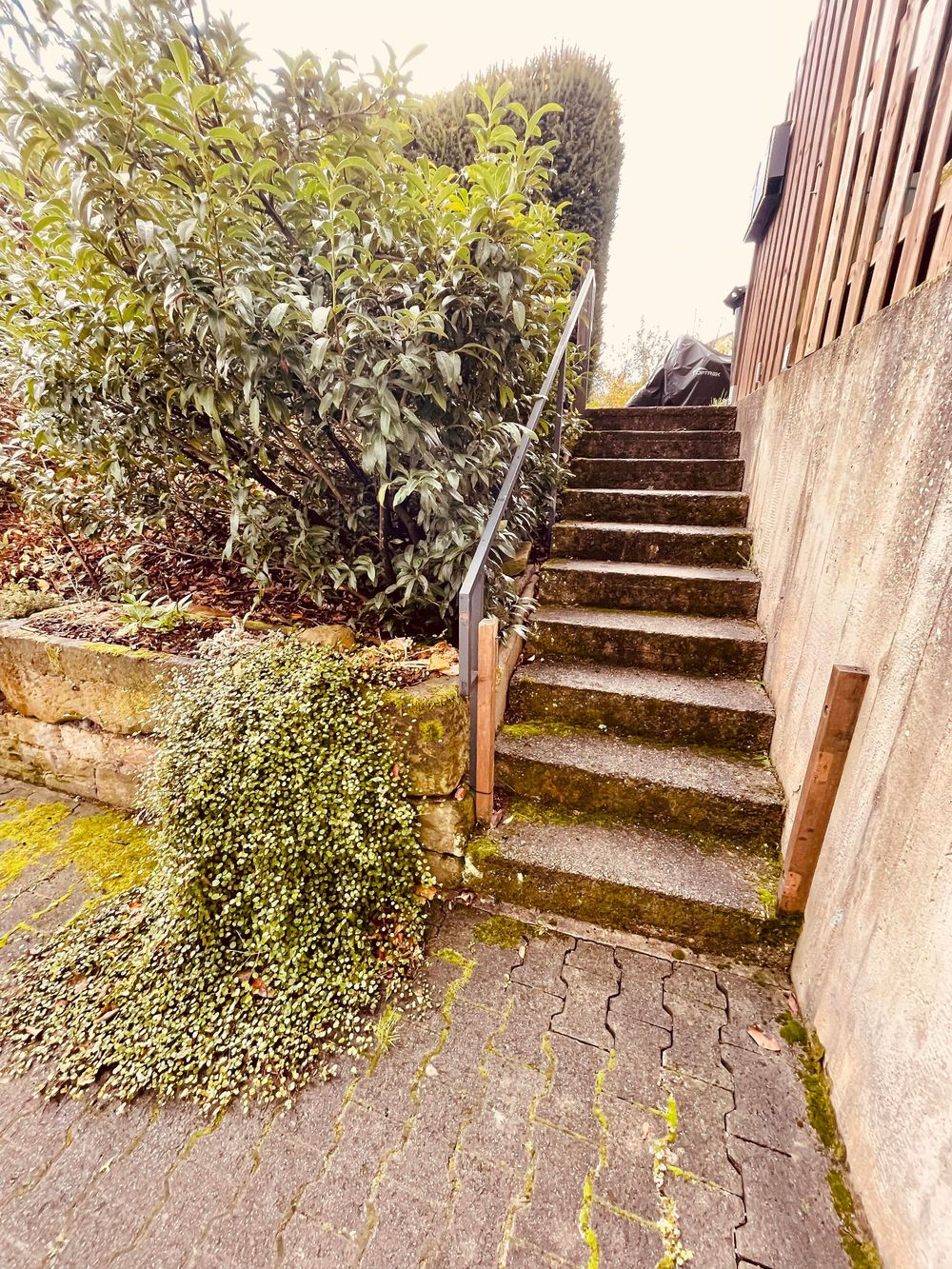 Ferienwohnung Im Weidengarten xfhjh0