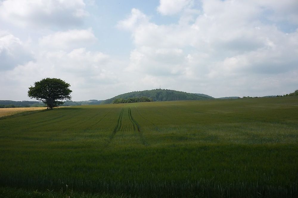 Traumschleife Bärenpfad xc3a3s