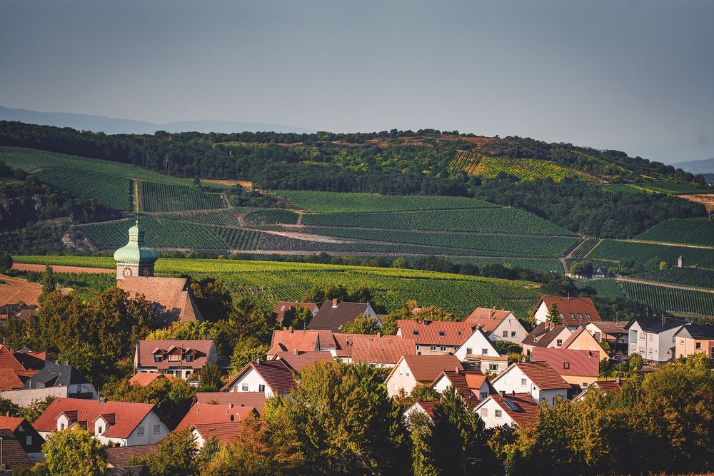 Premium Spazierwanderweg Gangelsberg xa93z5