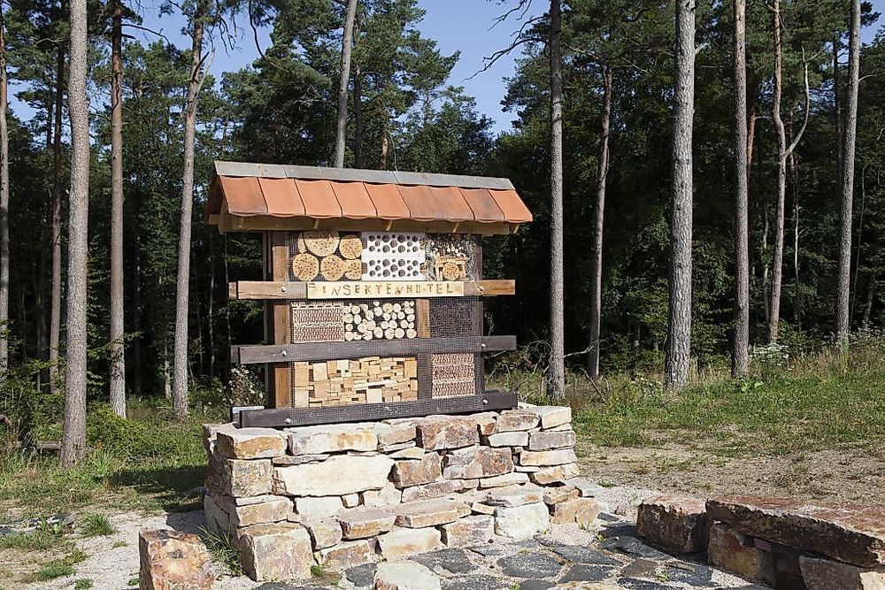 Traumschleifchen Zauberwald   Willy Wurzels Naturerlebnisweg wxrood