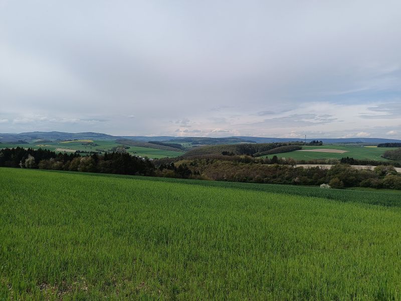 Rundwanderweg Hildebrechts Heimat wwgr6b