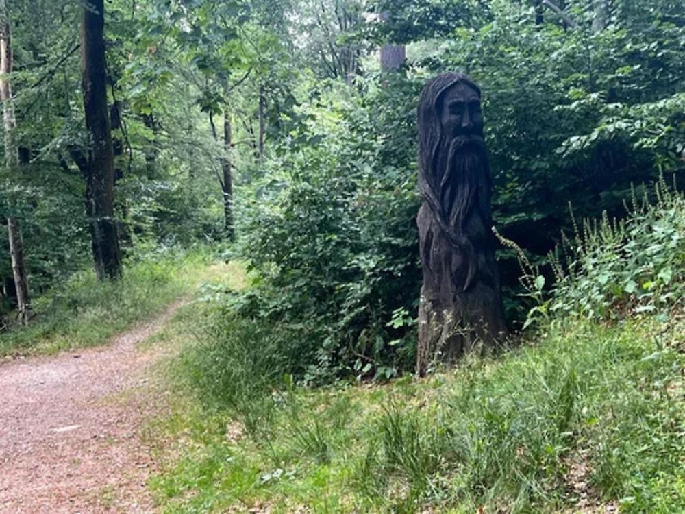 Ferienhäuser im Feriendorf Hambachtal wweeoc