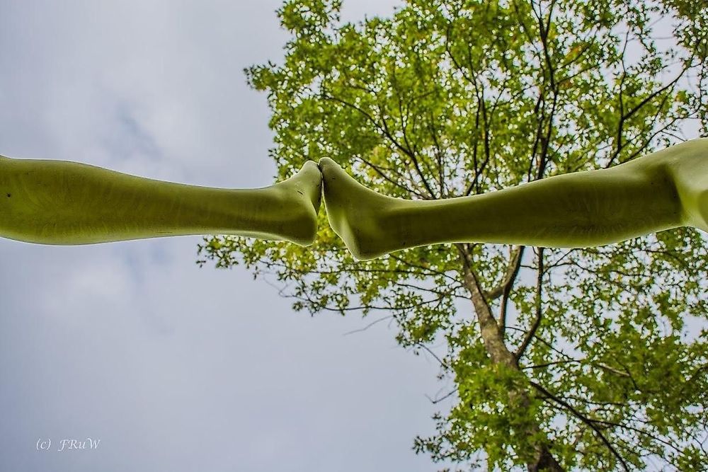 Geh Denke Weg: Säulen des Lebens wx8ou7