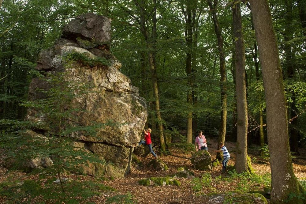 TRAUMSCHLEIFE Ruwer Hochwald Schleife wx912n
