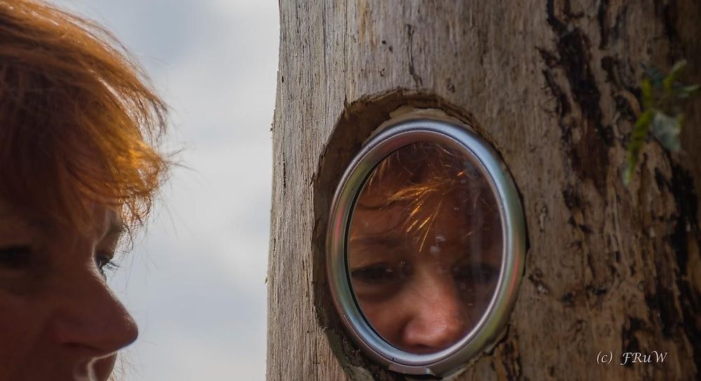 Geh Denke Weg: Spiegelbaum y8dcv3
