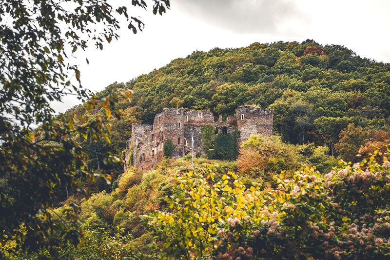 Burgruine Dalburg ww9k1h
