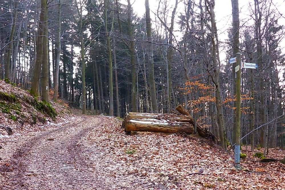 Soonwaldsteig   Zuweg Königsau/Kellenbach y93y6m