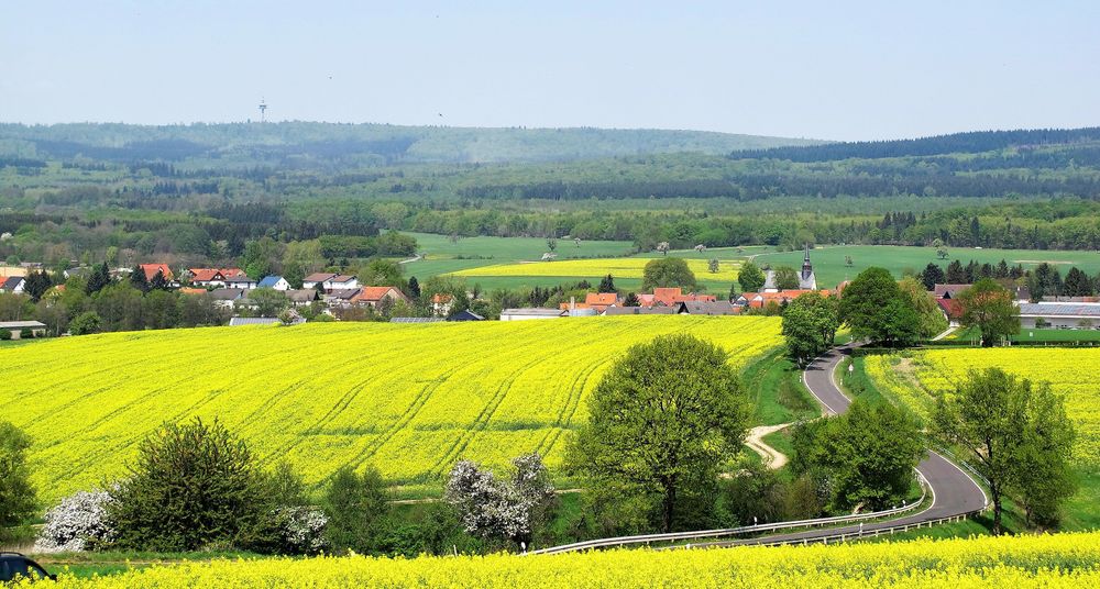 Gebrother Obstweg y6r4ba