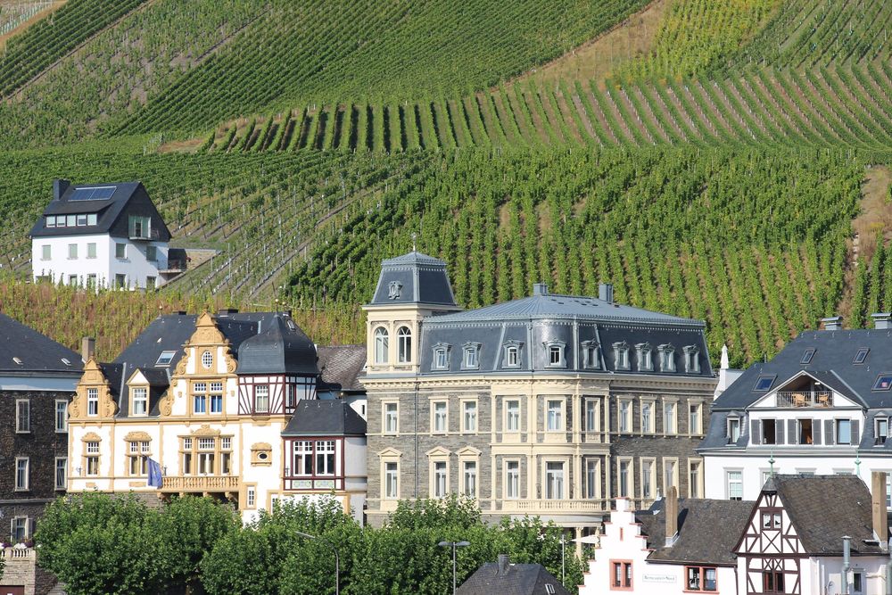 Ferienhaus Haus Waldblick wsr8w3