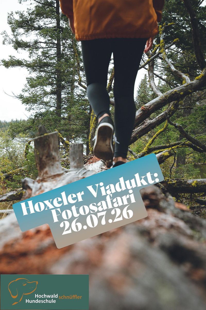 events/fotosafari-im-hochwald-63bf