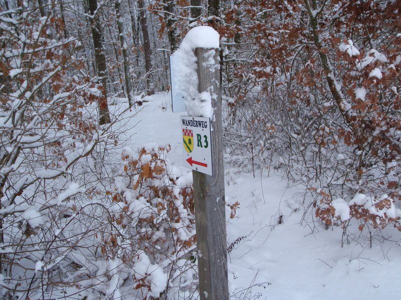 Oberbrombach   Rund um die Pferdshöhe wreigi