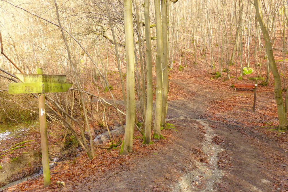 Soonwaldsteig   Zuweg Oberhausen bei Kirn 2 wqz4fe