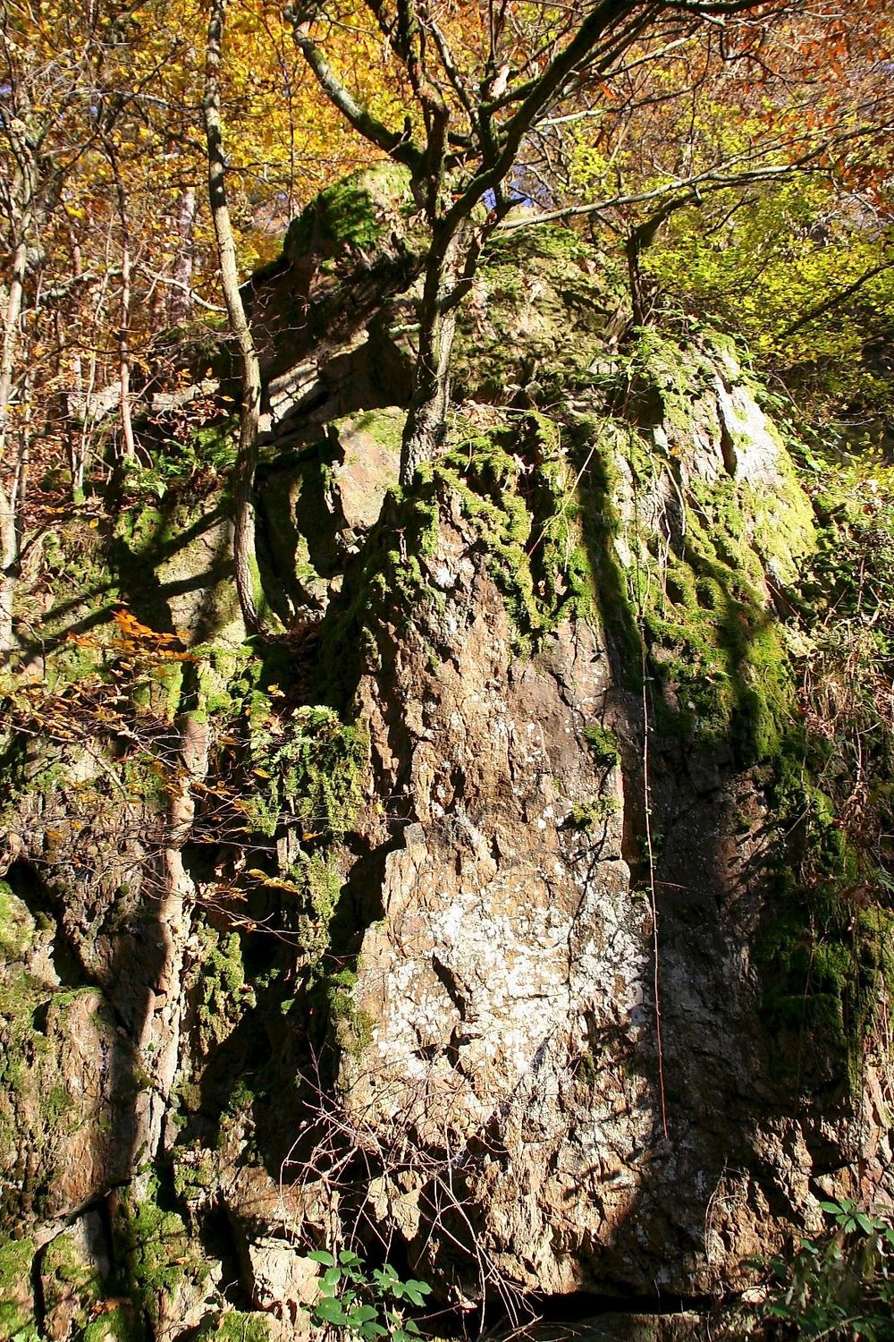 Vitaltour Willigisweg y58ery