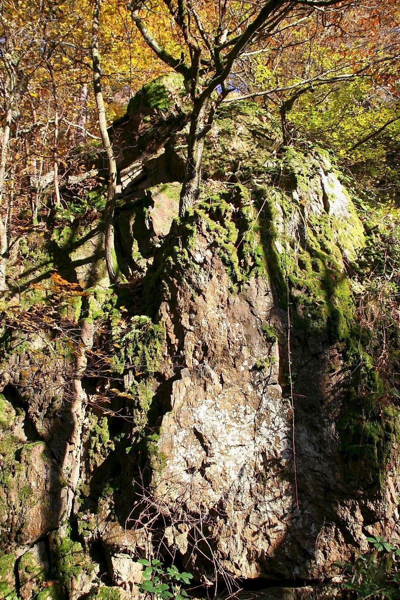 Vitaltour Willigisweg y58ery