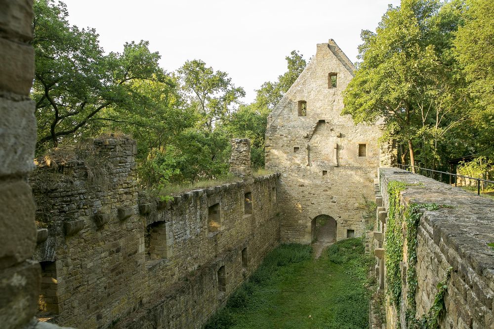 Klosterruine Disibodenberg y51pzd