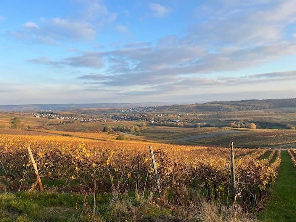 Ferienwohnung Weinbergsliebe y42xkd