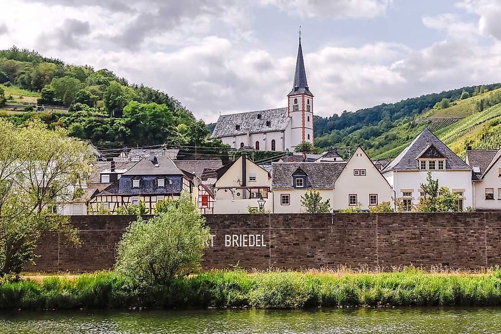 Zeller Panorama Moselradrundfahrt über Pünderich und Briedel y447sf