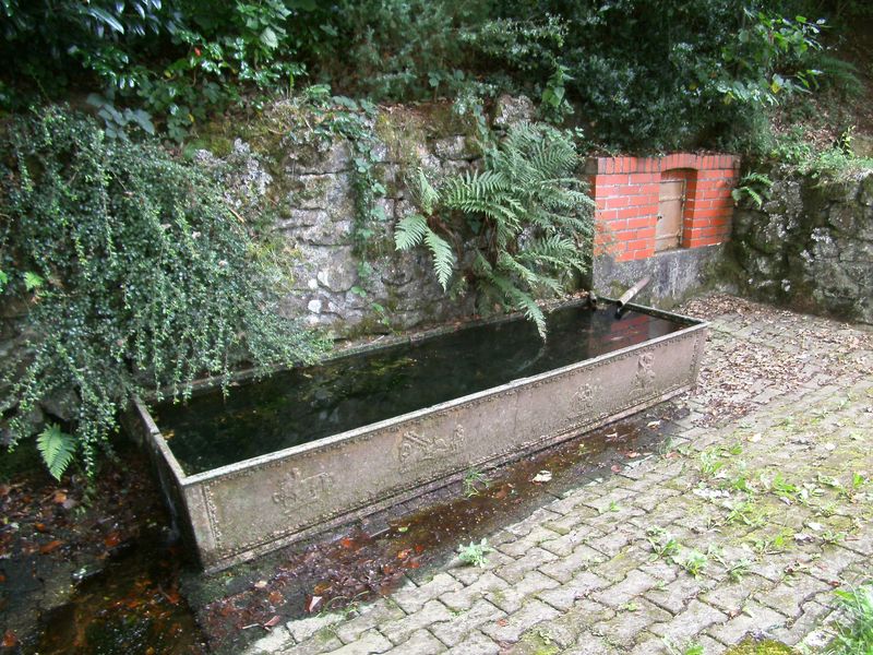 Von der Brombacher Höhe ins Nahetal (längste Runde) y311fn