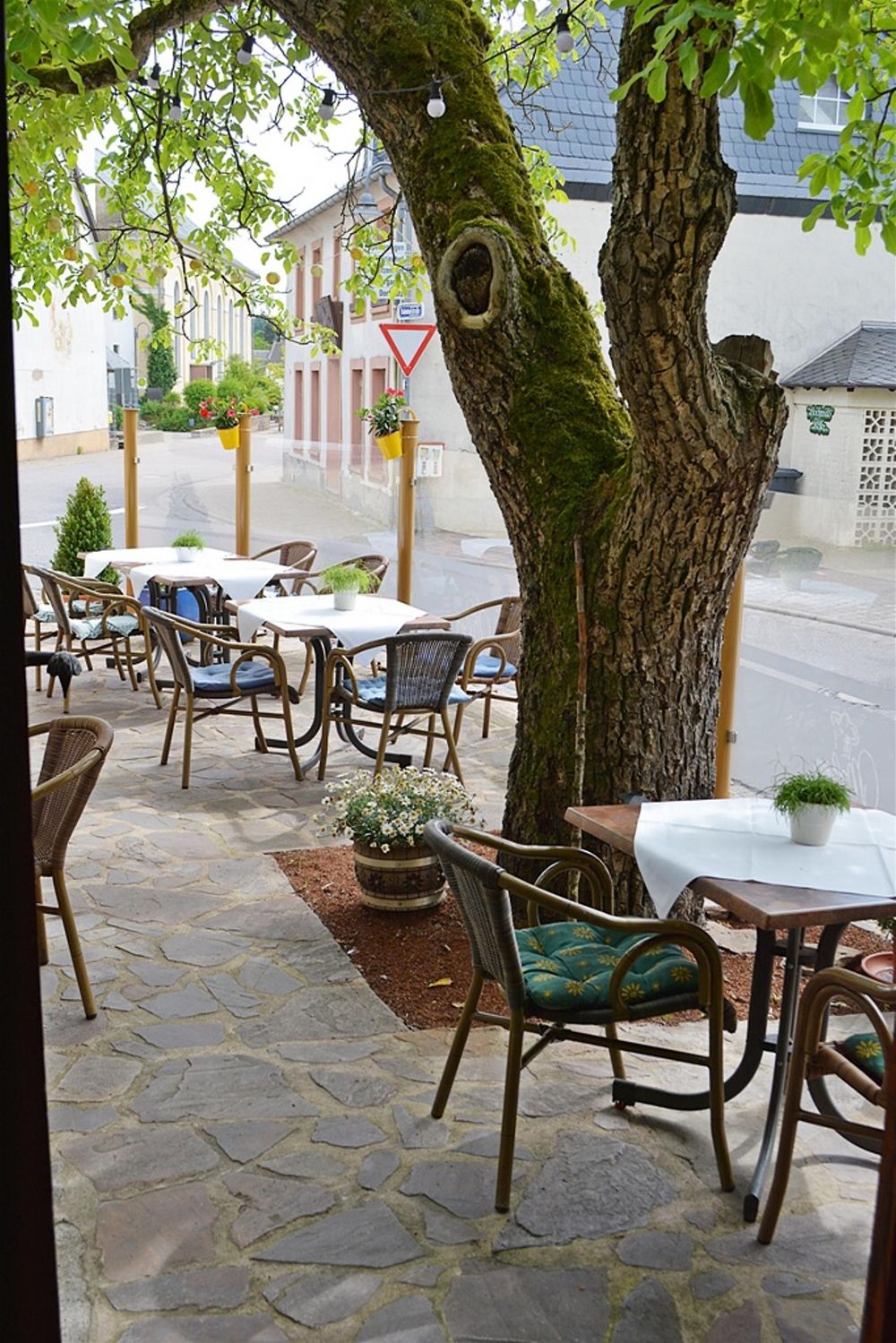 Gasthaus Pension Metzgerei Maßem y29oqb