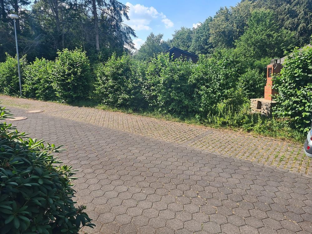 Haus Goldregen   App