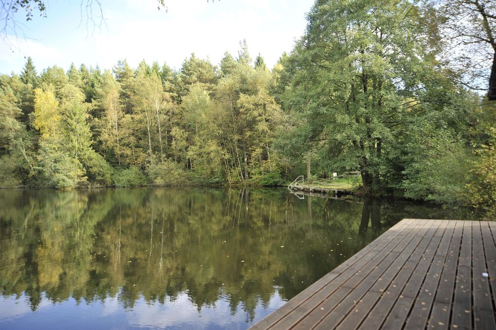 Argenthaler Waldsee wmrfst