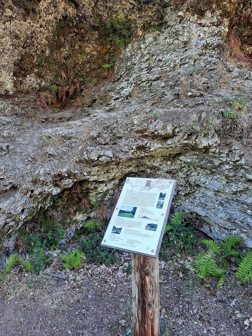 Saar Hunsrück Steig   08