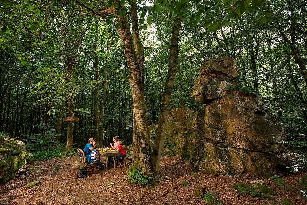 Heckelbüschfelsen   Quarzitformation im Henterner Wald y064uo