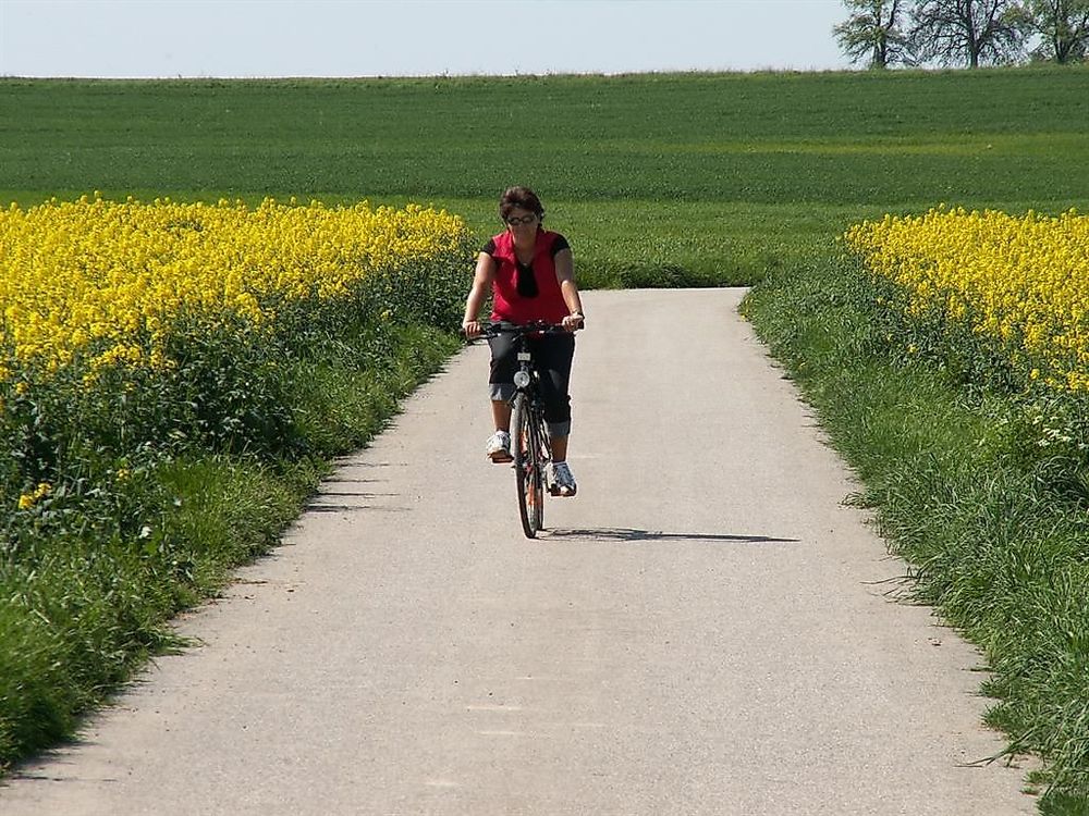 Hunsrück Mosel Radweg wkrr3k