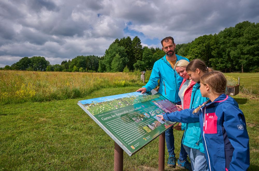 Traumschleife "Köhlerpfad am Steinbach" wjmjee
