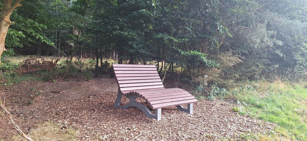 Ginsterberg in Birkheim wivtic