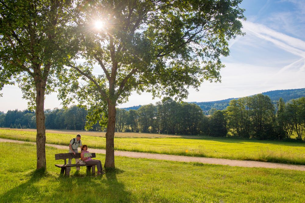 Traumschleife "Zwischen den Wäldern" wk5k6l